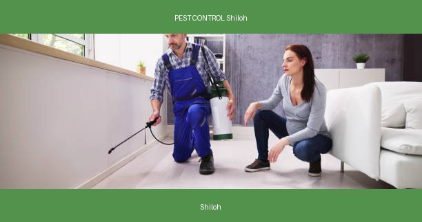 PEST CONTROL Shiloh